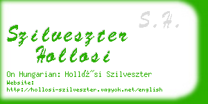 szilveszter hollosi business card